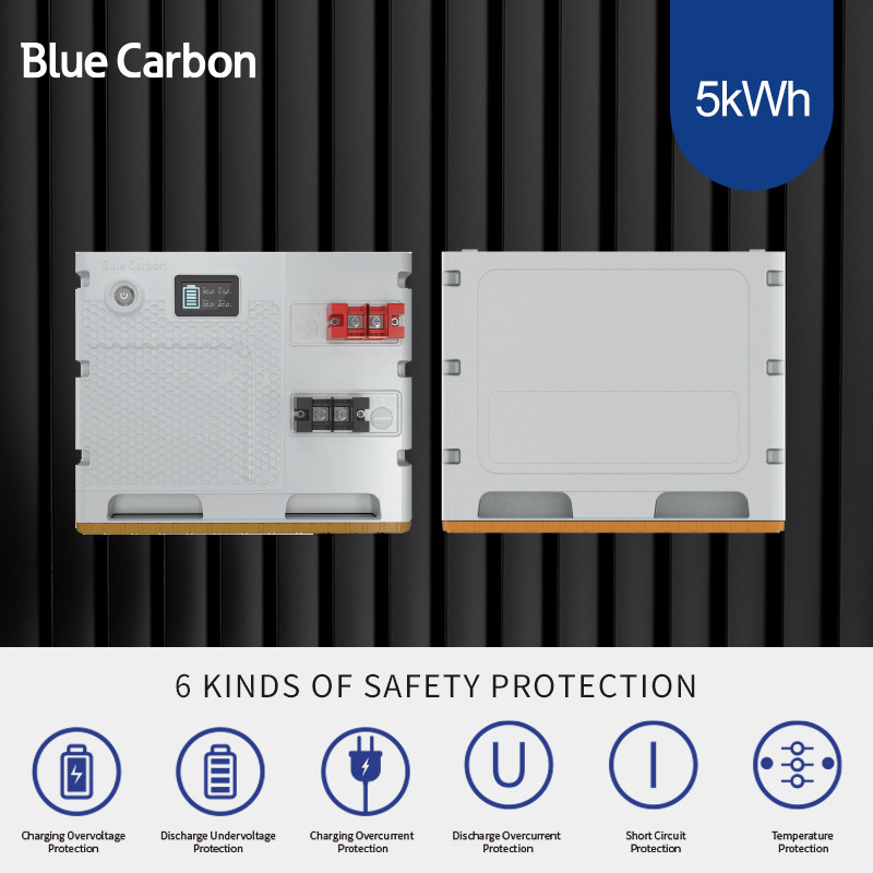 Blue Carbon 5kwh 48V 200ah Lithium Battery Pack For Solar Home System