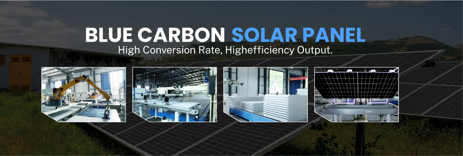 Blue Carbon Nigeria promo