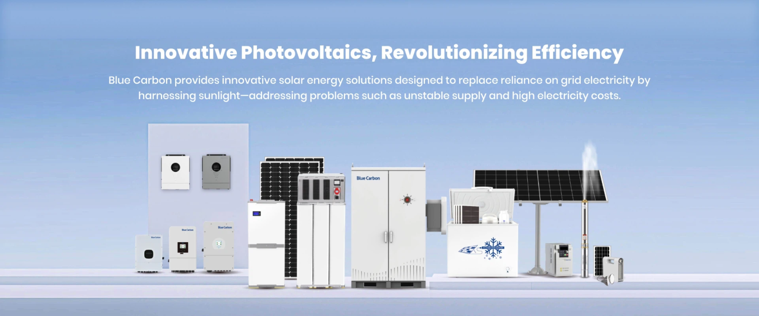 Why Customers Choose Blue Carbon Over Other Brands