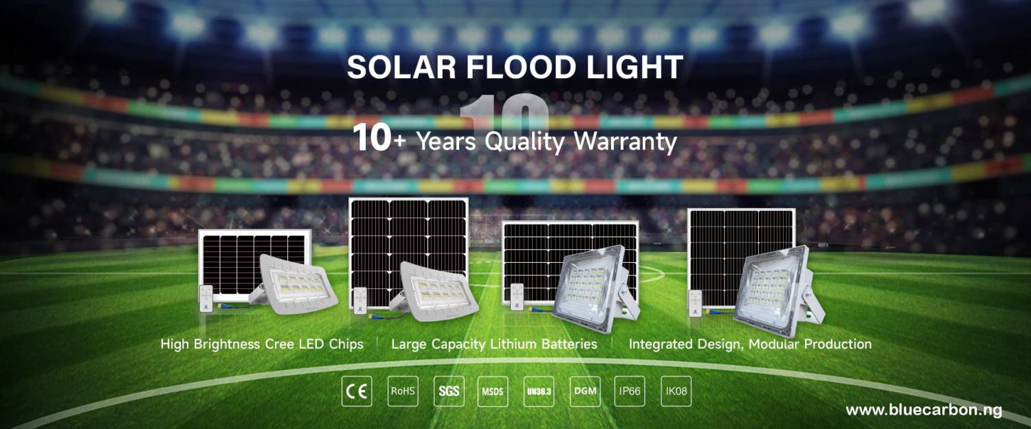 Why Customers Choose Blue Carbon Lithium Batteries, Solar Panels, Inverters, and Solar Street Lights for Their Projects