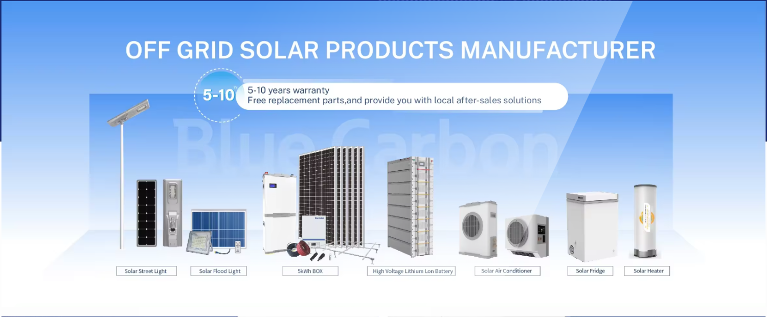 2025 Blue Carbon Clean Energy Annual Report: B2B Systemic Energy Transition