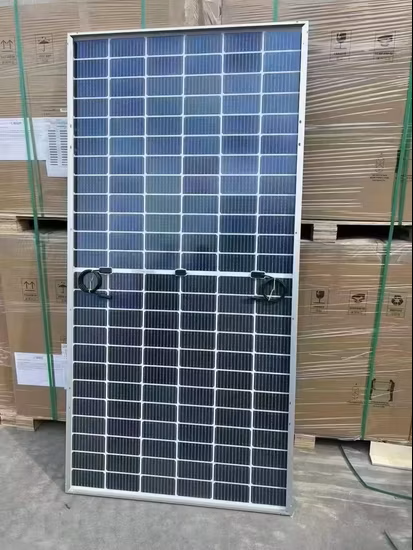 Blue Carbon - Monocrystalline Solar Panel vs Bifacial Solar Panel: Which is Better for Your Energy Needs?